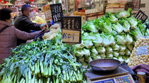 保供稳价！钱大妈香港区50家门店，让市民们能买到亲民蔬菜！